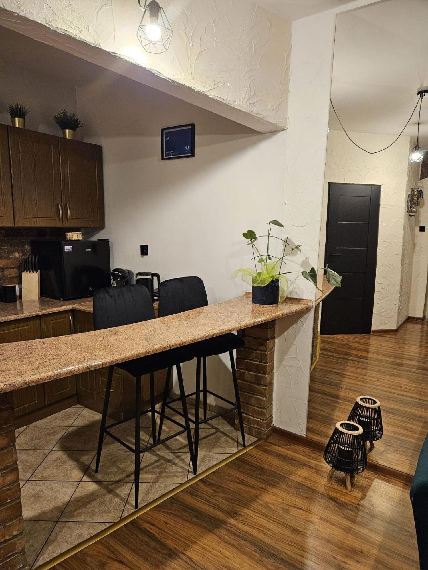 Loft Apartment Сосновец Екстериор снимка